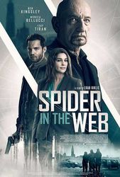 Spider in the Web (2019) Profile Photo