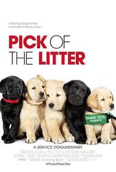 Pick of the Litter (2018) Profile Photo