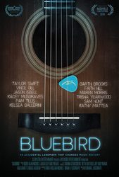 Bluebird 