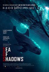 Sea Of Shadows