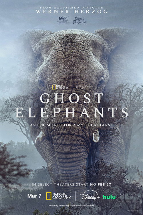 Ghost Elephants