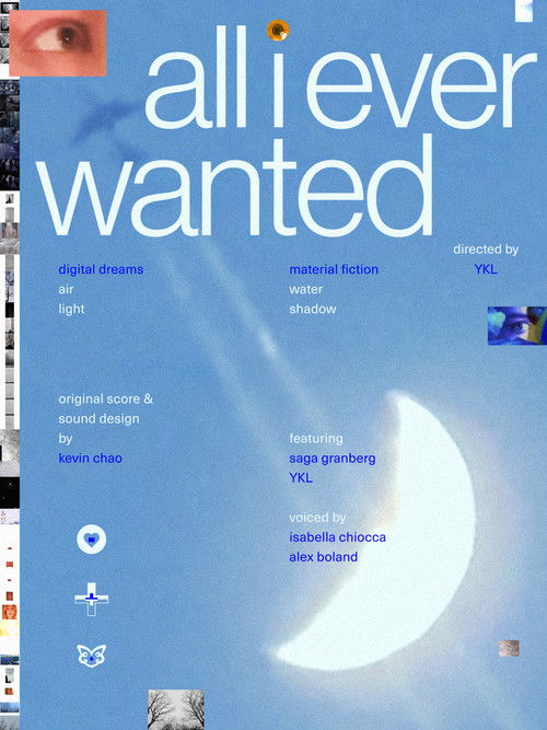 All I Ever Wanted