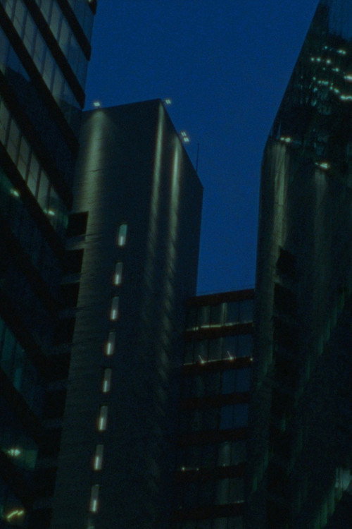 Your City