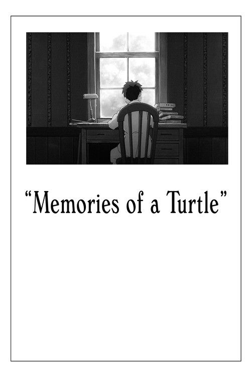 Memories Of A Turtle