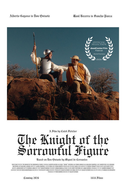 The Knight of the Sorrowful Figure