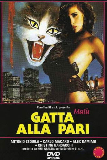 Just Like A Cat