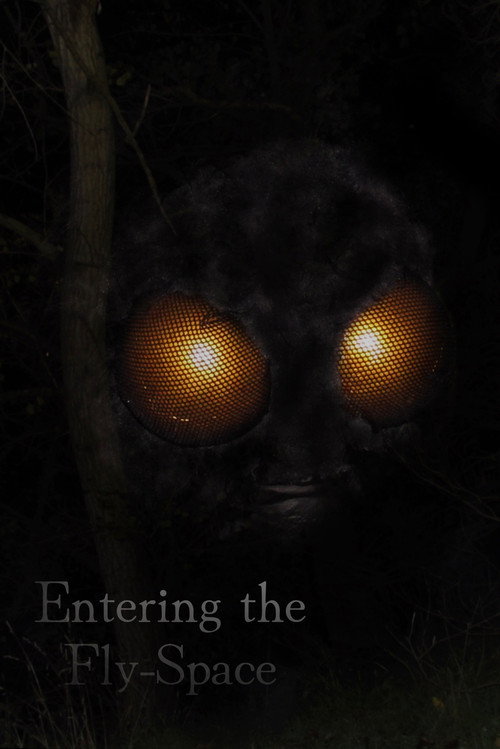 Entering The Fly-Space