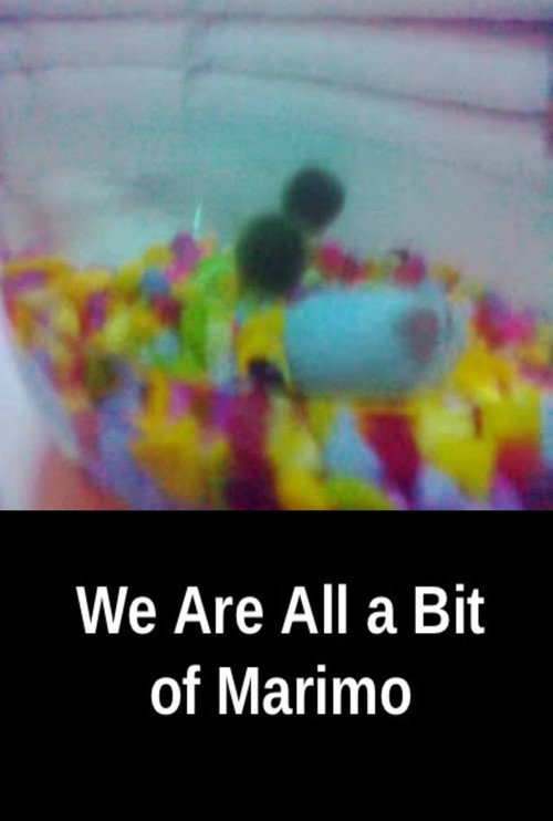 We Are All A Bit Of Marimo