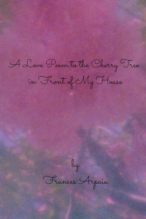 A Love Poem to the Cherry Tree in Front of My House