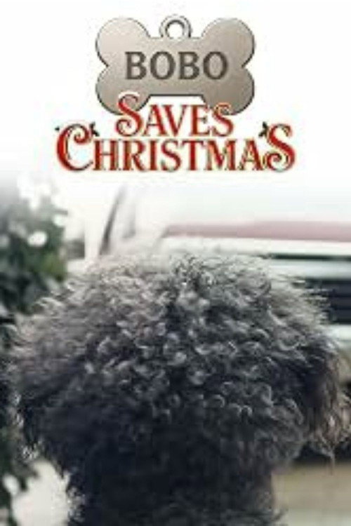 Bobo Saves Christmas
