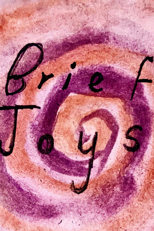 Brief Joys