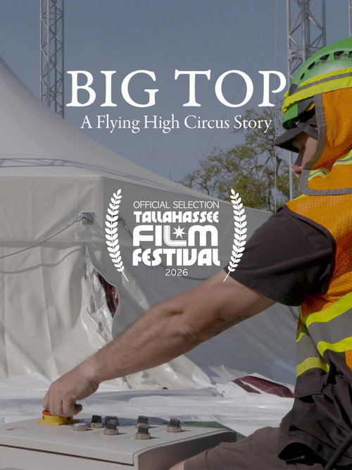 Big Top: A Flying High Circus Story