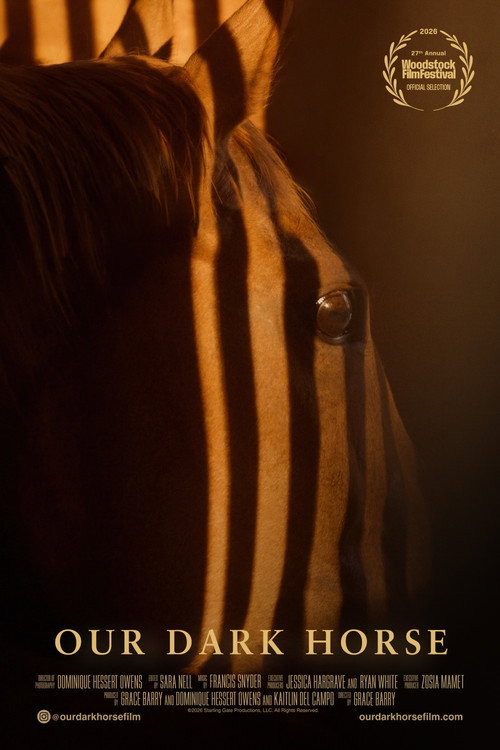 Our Dark Horse