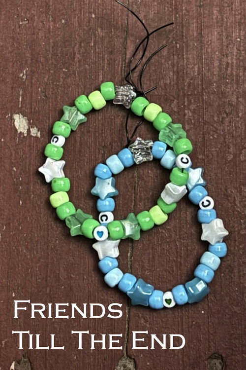 Friends Till The End