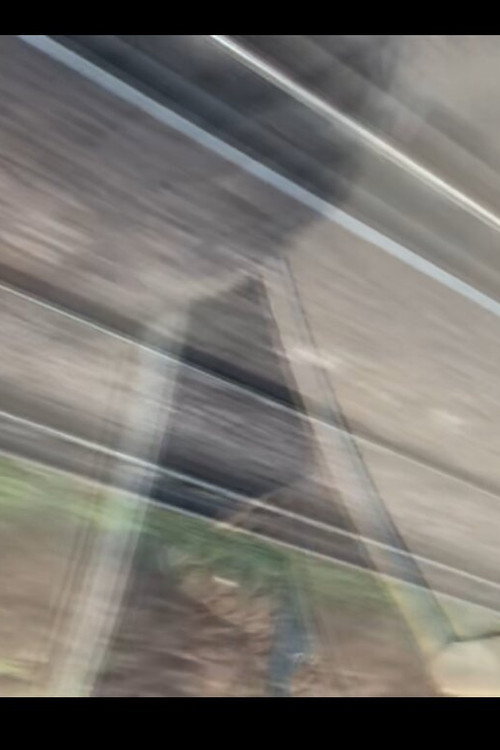Train To Waterloo, Courtesy Of Fishmans