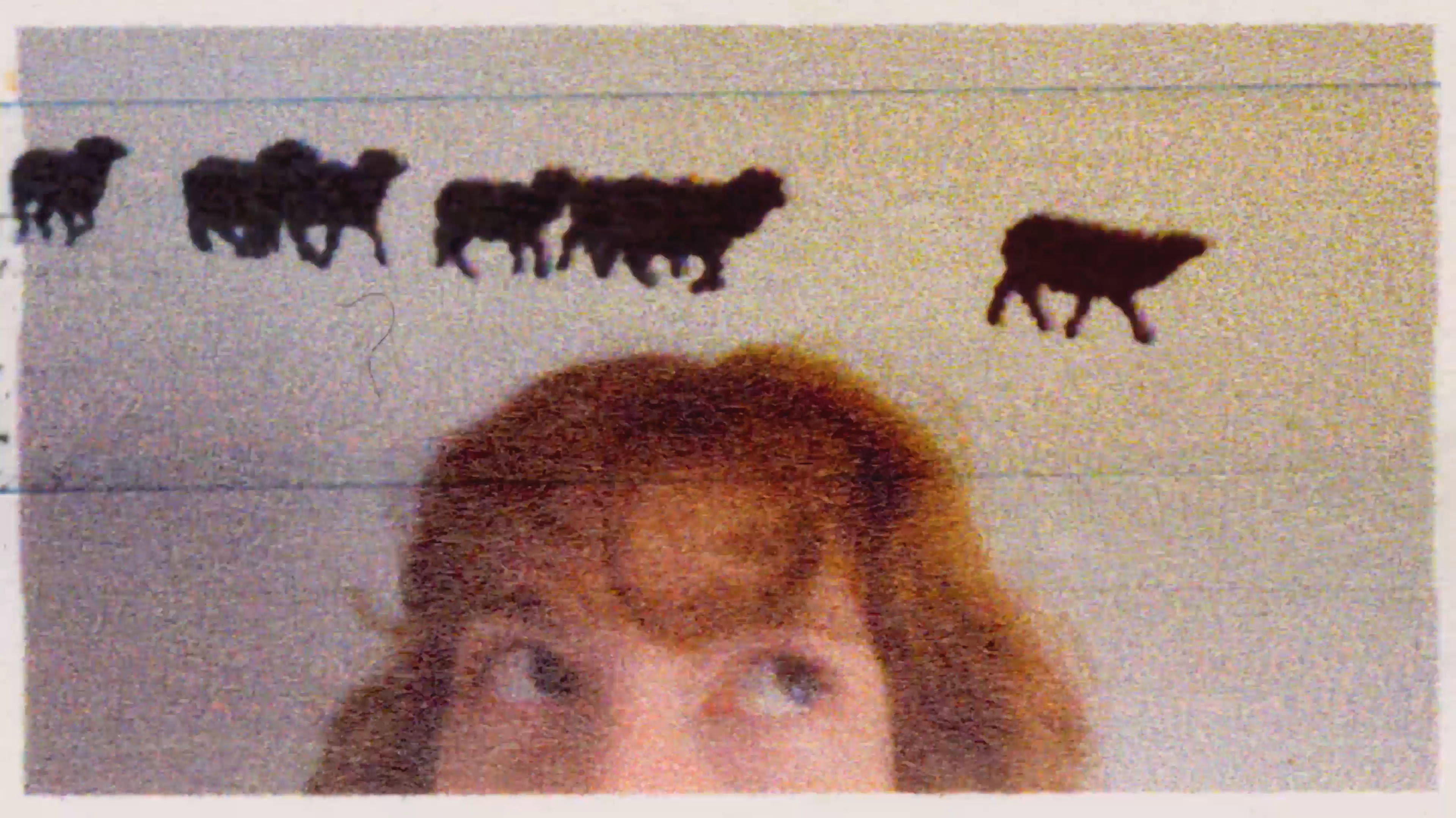 3 Lambs (2026)