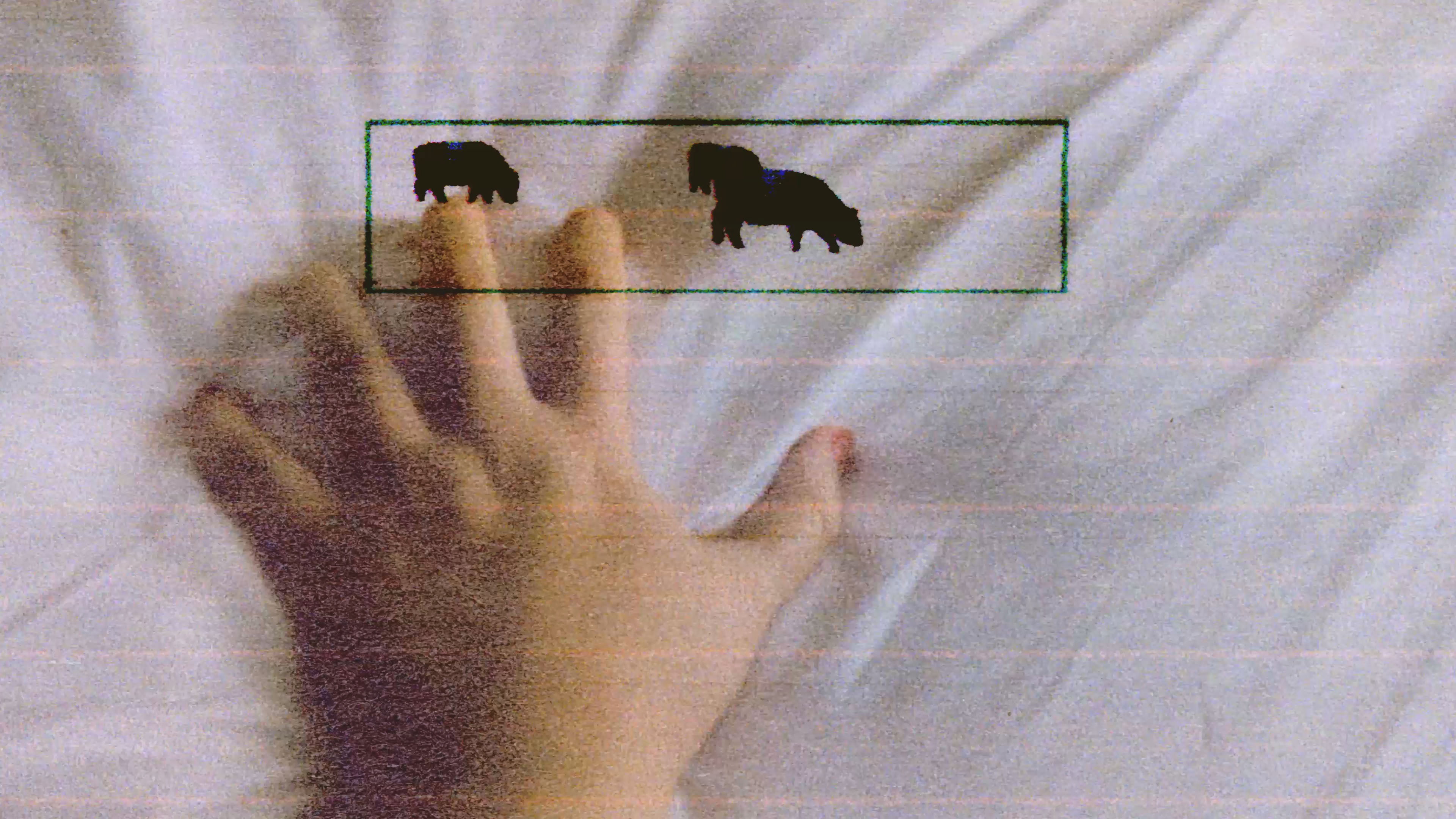 3 Lambs (2026)