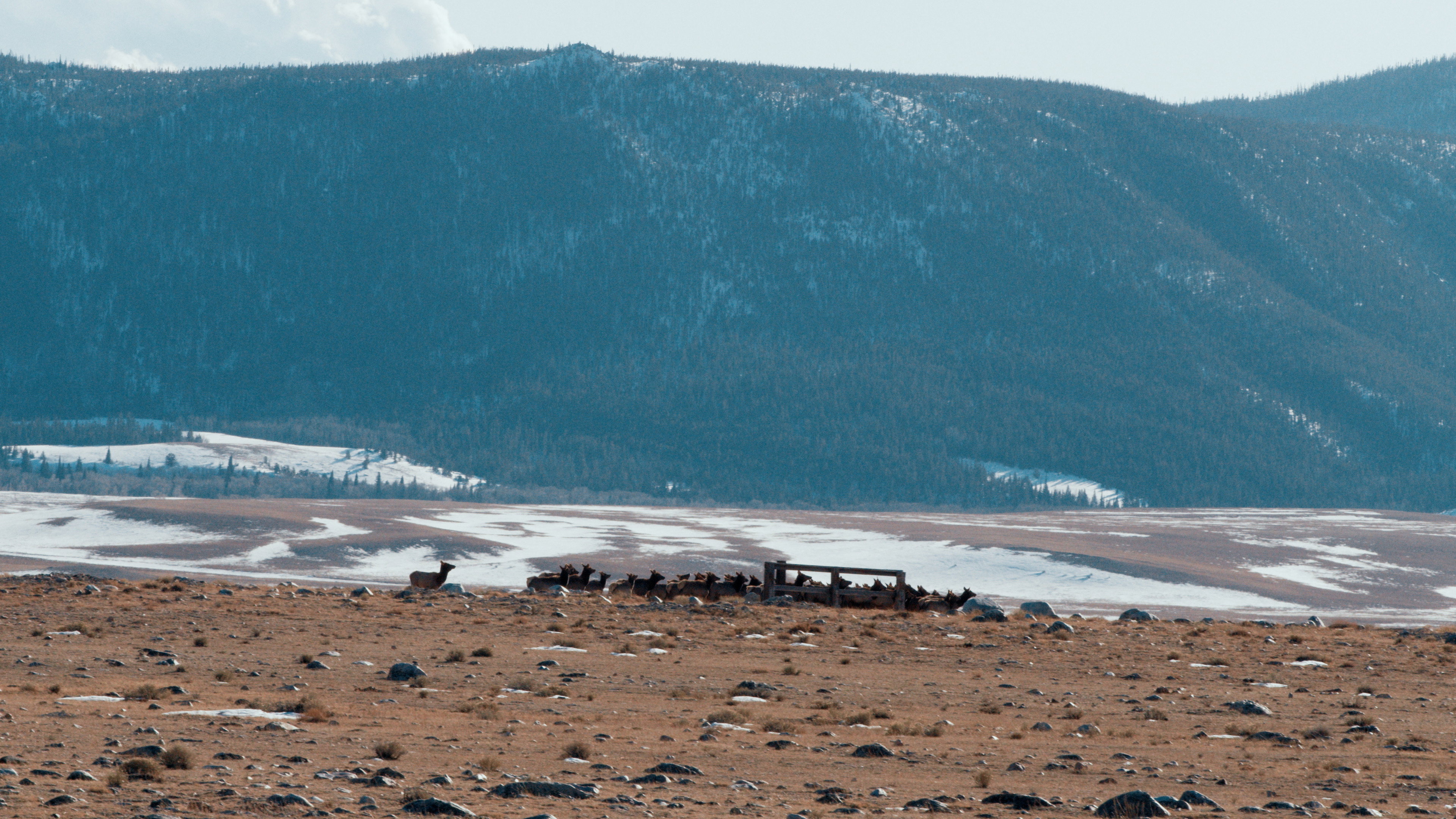 50 Hours to Wyoming (2026)
