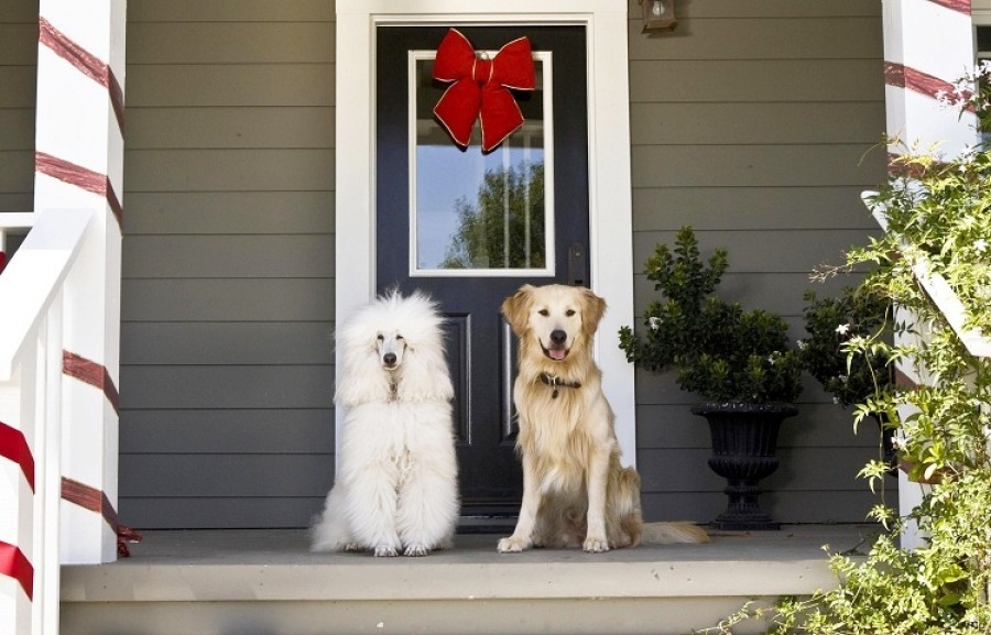 A Christmas Wedding Tail (2011) Pictures, Trailer, Reviews
