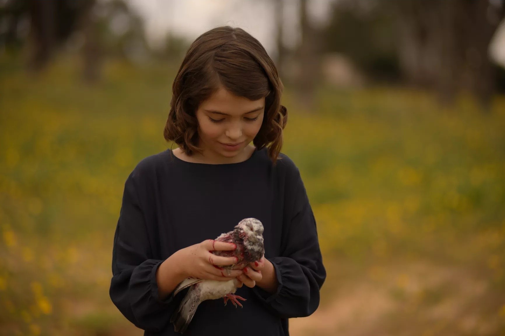 Shira Haas in Focus World's A Tale of Love and Darkness (2016)