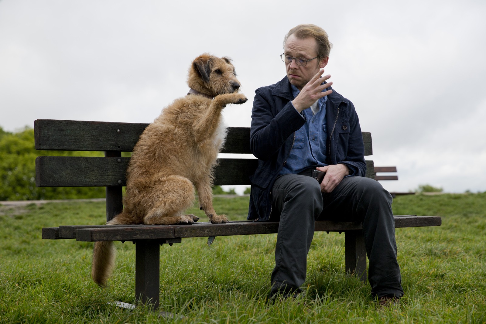 Absolutely Anything (2017) Pictures, Trailer, Reviews, News, DVD and