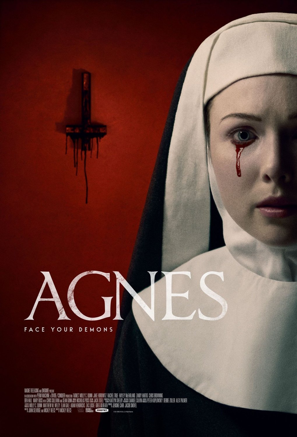 Poster of Agnes (2021)