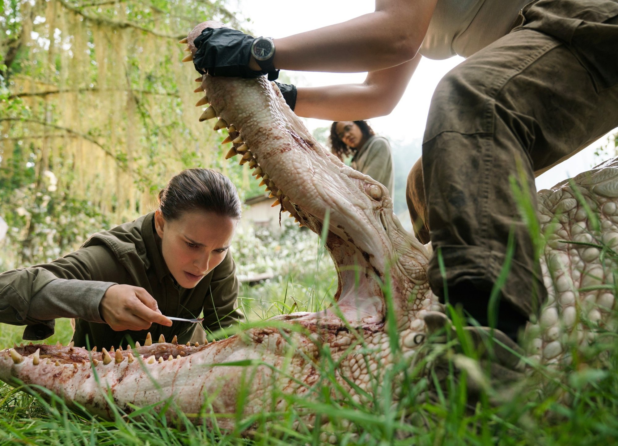 Natalie Portman stars as Lena in Paramount Pictures' Annihilation (2018)