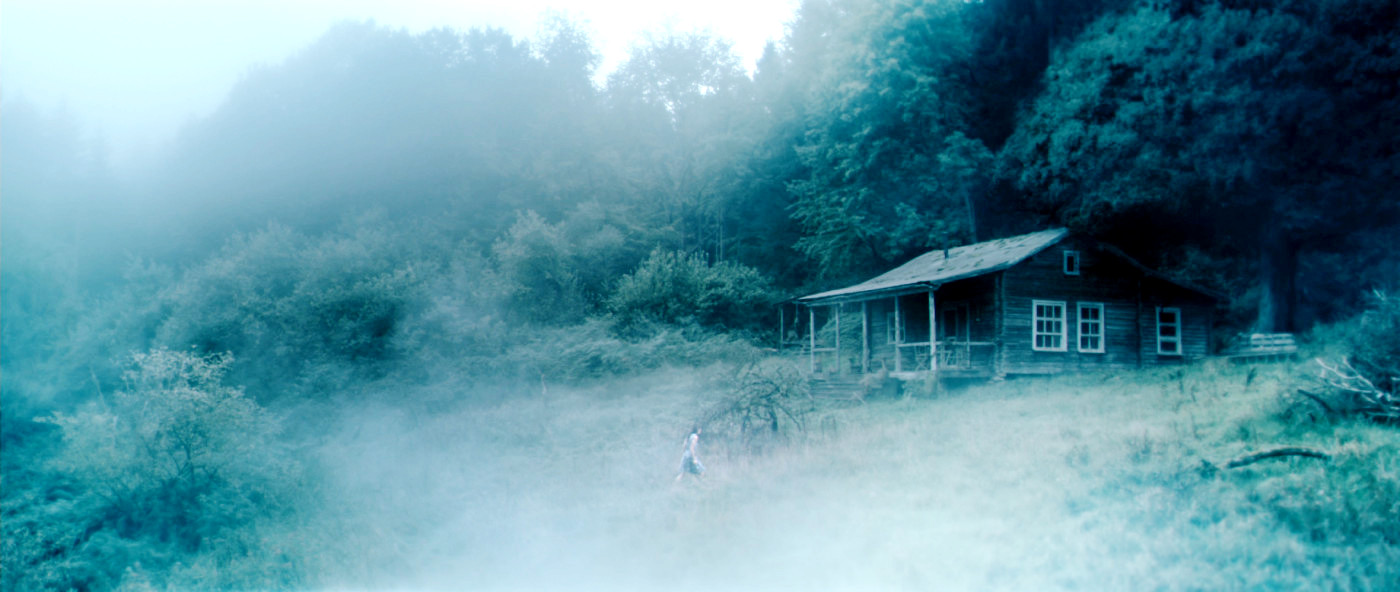 A scene from IFC Films' Antichrist (2009)
