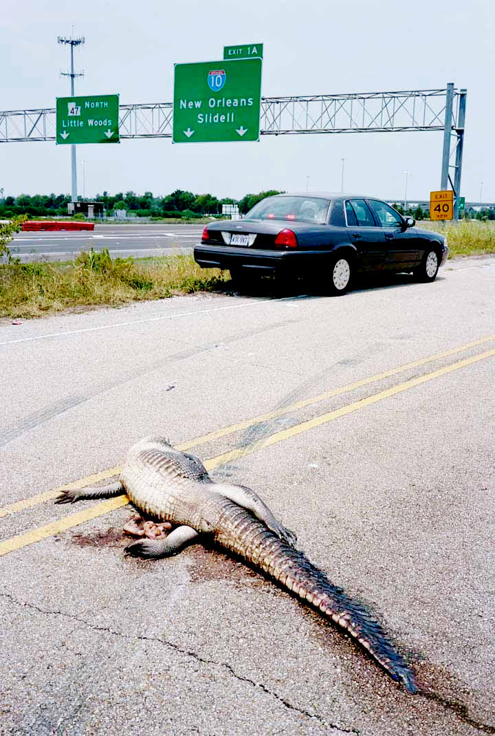 A scene from First Look Studios' Bad Lieutenant: Port of Call New Orleans (2009)