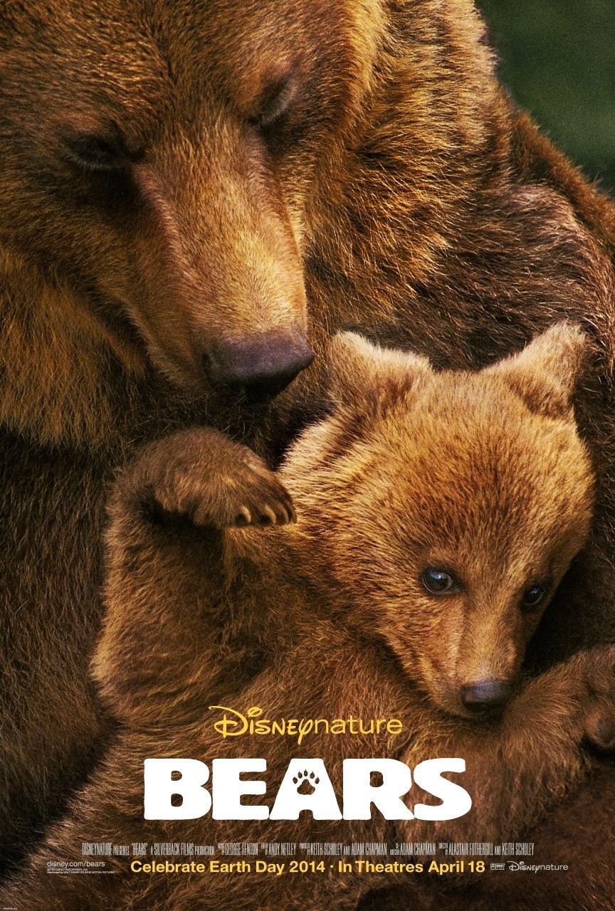 Poster of Disneynature's Bears (2014)