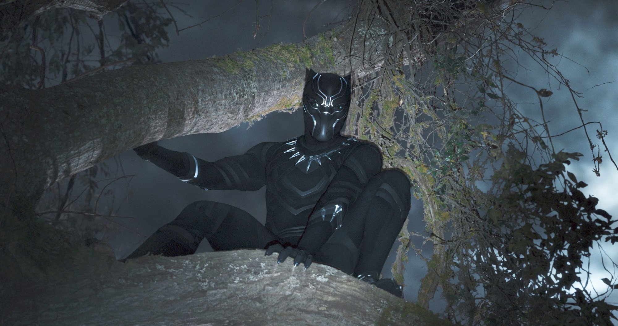 Black Panther from Walt Disney Pictures' Black Panther (2018)