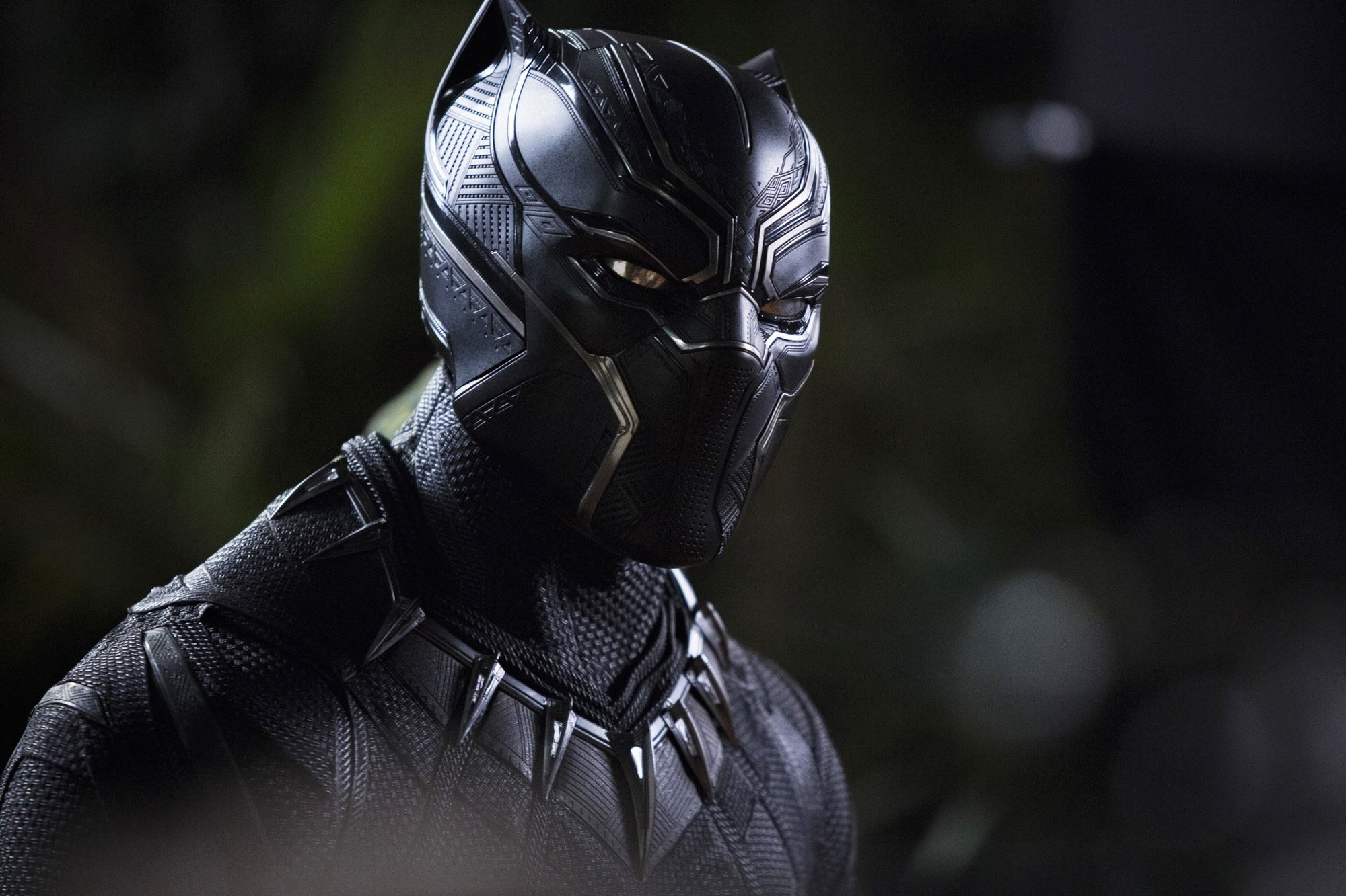 Black Panther from Walt Disney Pictures' Black Panther (2018)