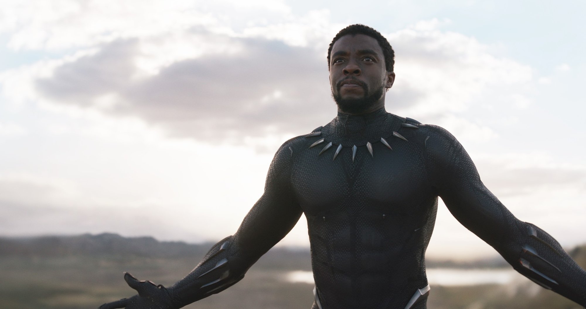 Chadwick Boseman stars as T'Challa/Black Panther in Walt Disney Pictures' Black Panther (2018)