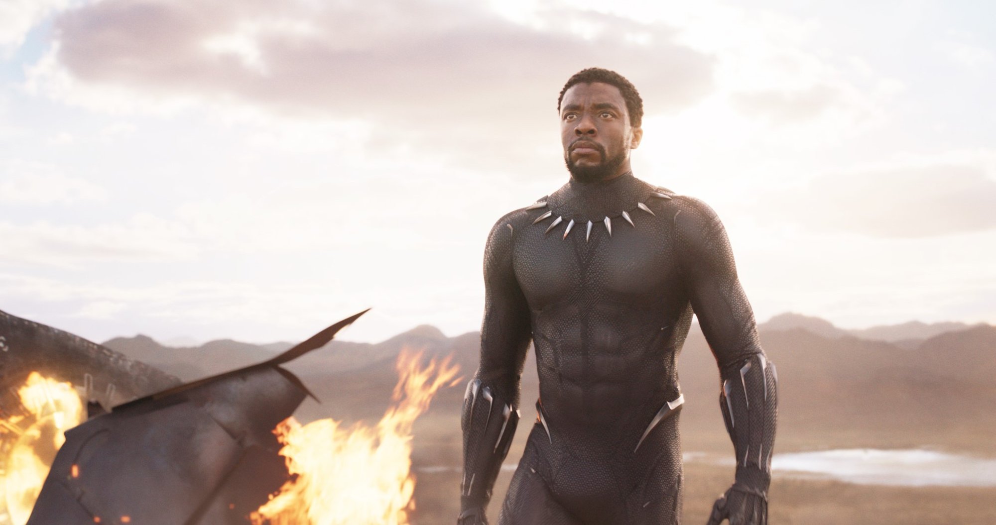 Chadwick Boseman stars as T'Challa/Black Panther in Walt Disney Pictures' Black Panther (2018)