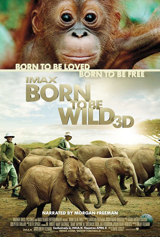 Poster of Warner Bros. Pictures' Born to Be Wild (2011)
