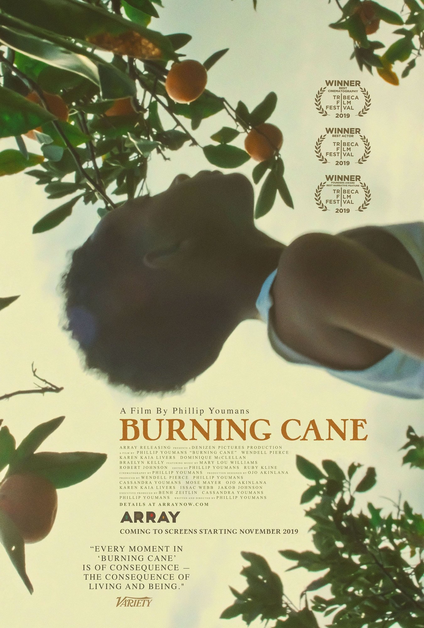 Poster of Array Releasing's Burning Cane (2019)