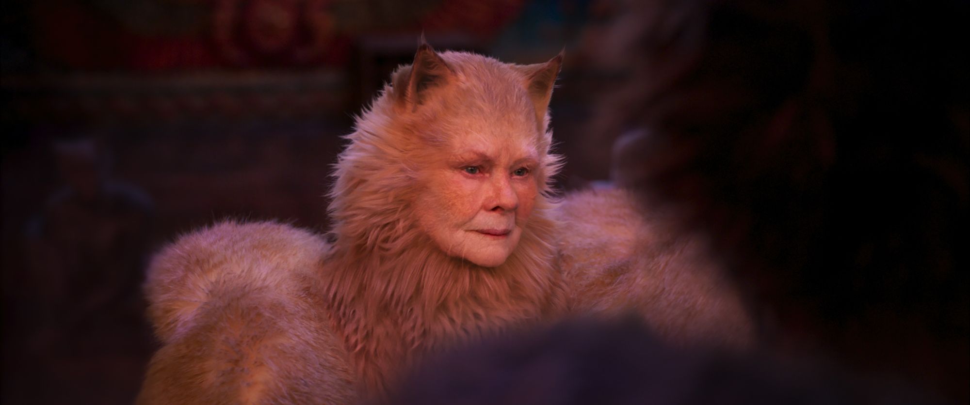 Judi Dench stars as Old Deuteronomy in Universal Pictures' Cats (2019)