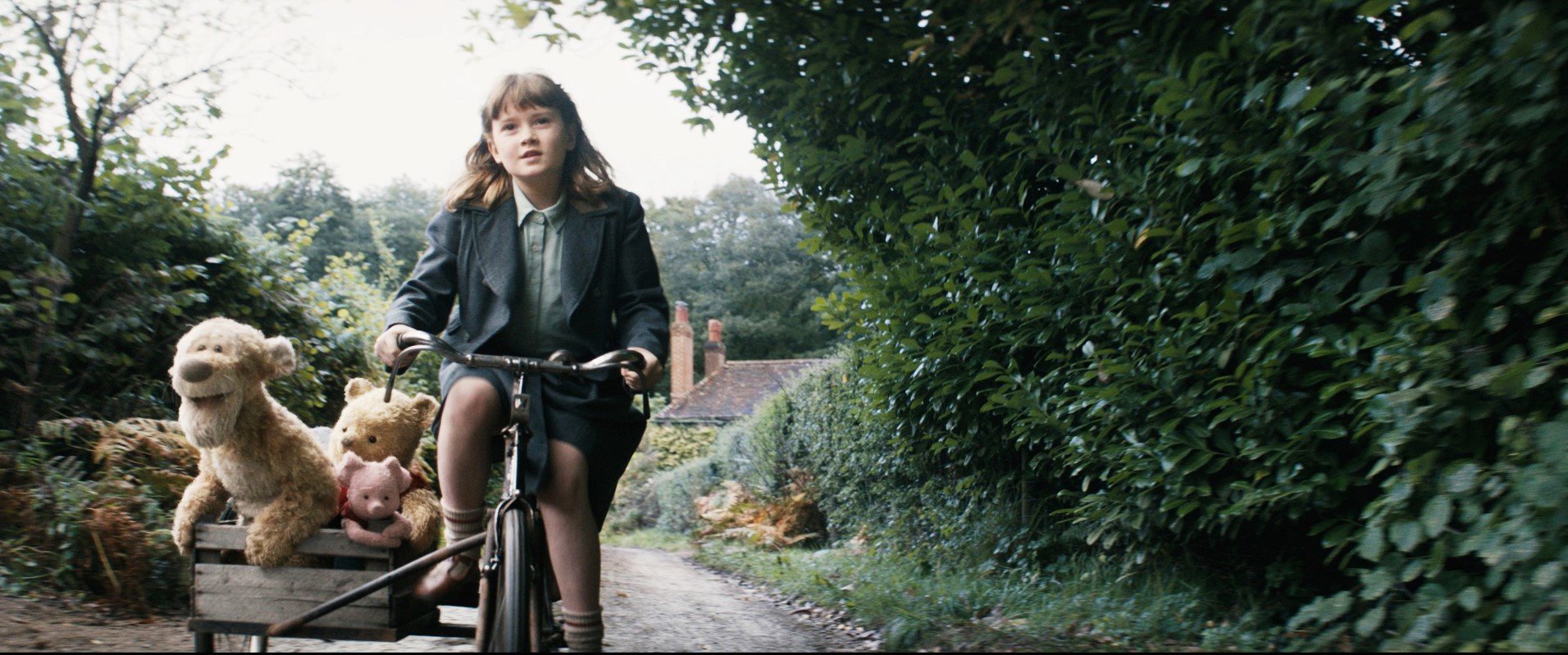 Christopher Robin (2018) Pictures, Trailer, Reviews, News, DVD and