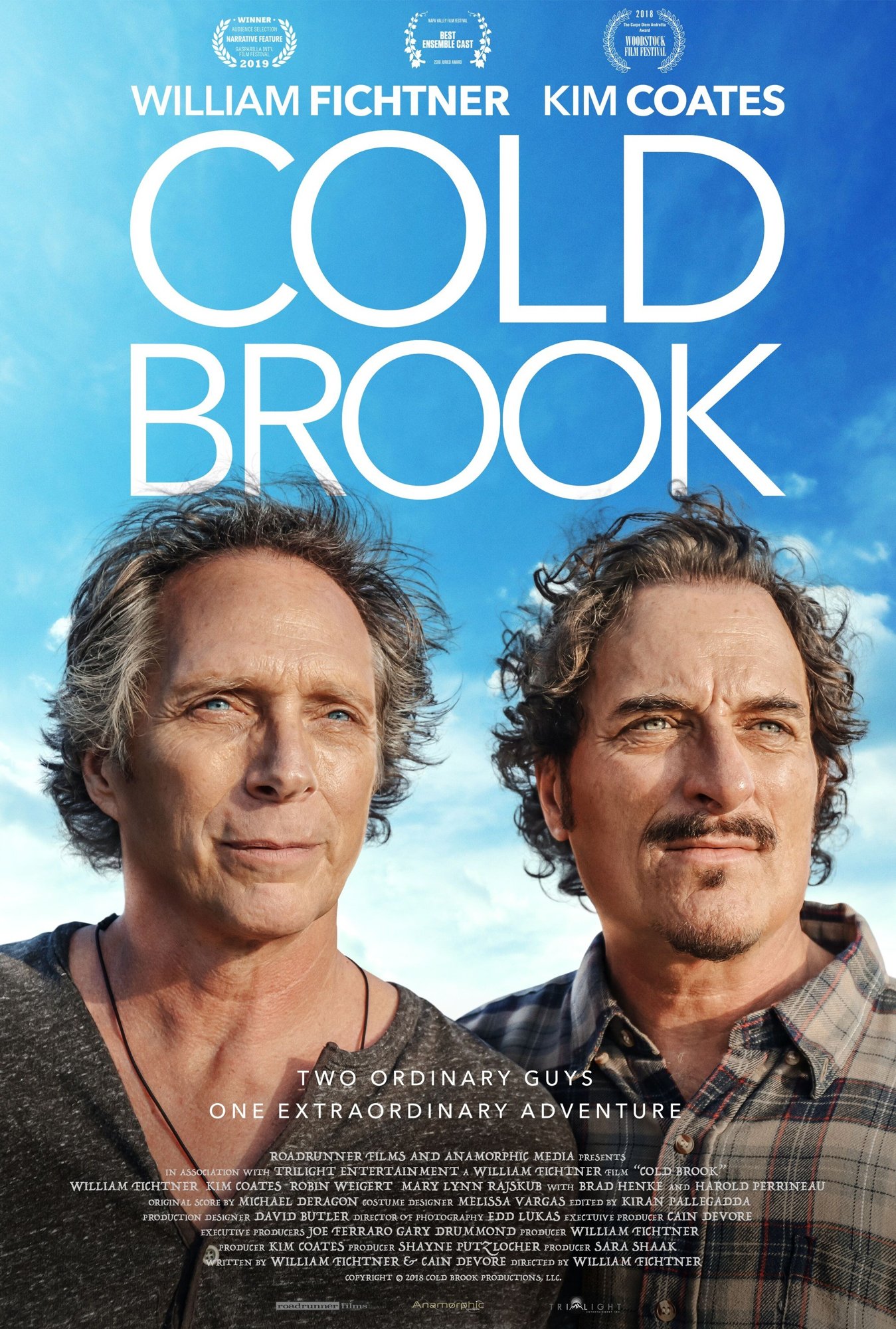Poster of Vertical Entertainment's Cold Brook (2019)
