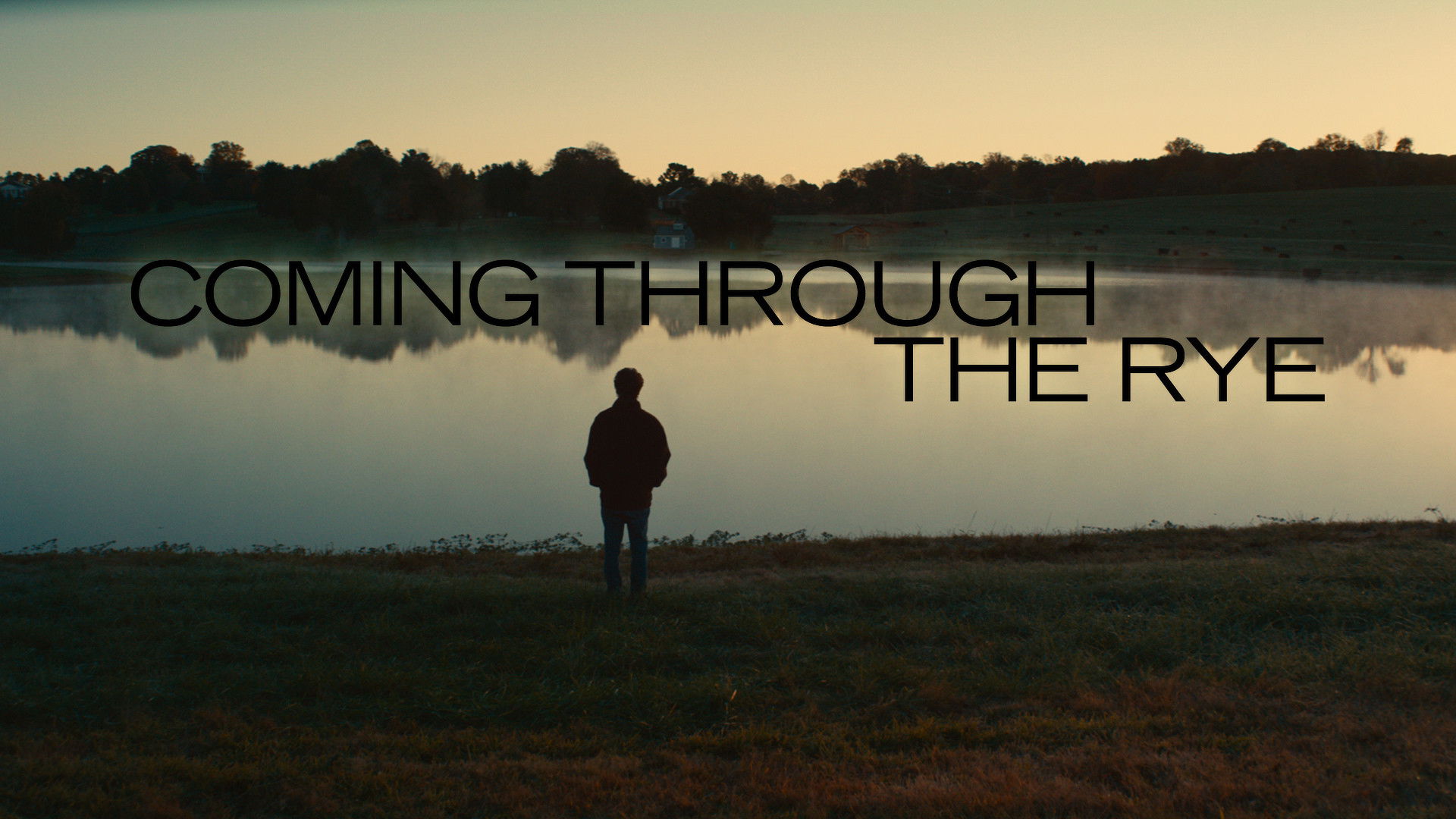 Coming Through the Rye (2016)