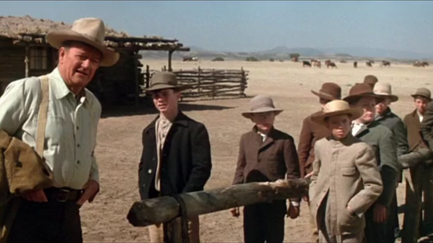 Cowboys, The (1970)