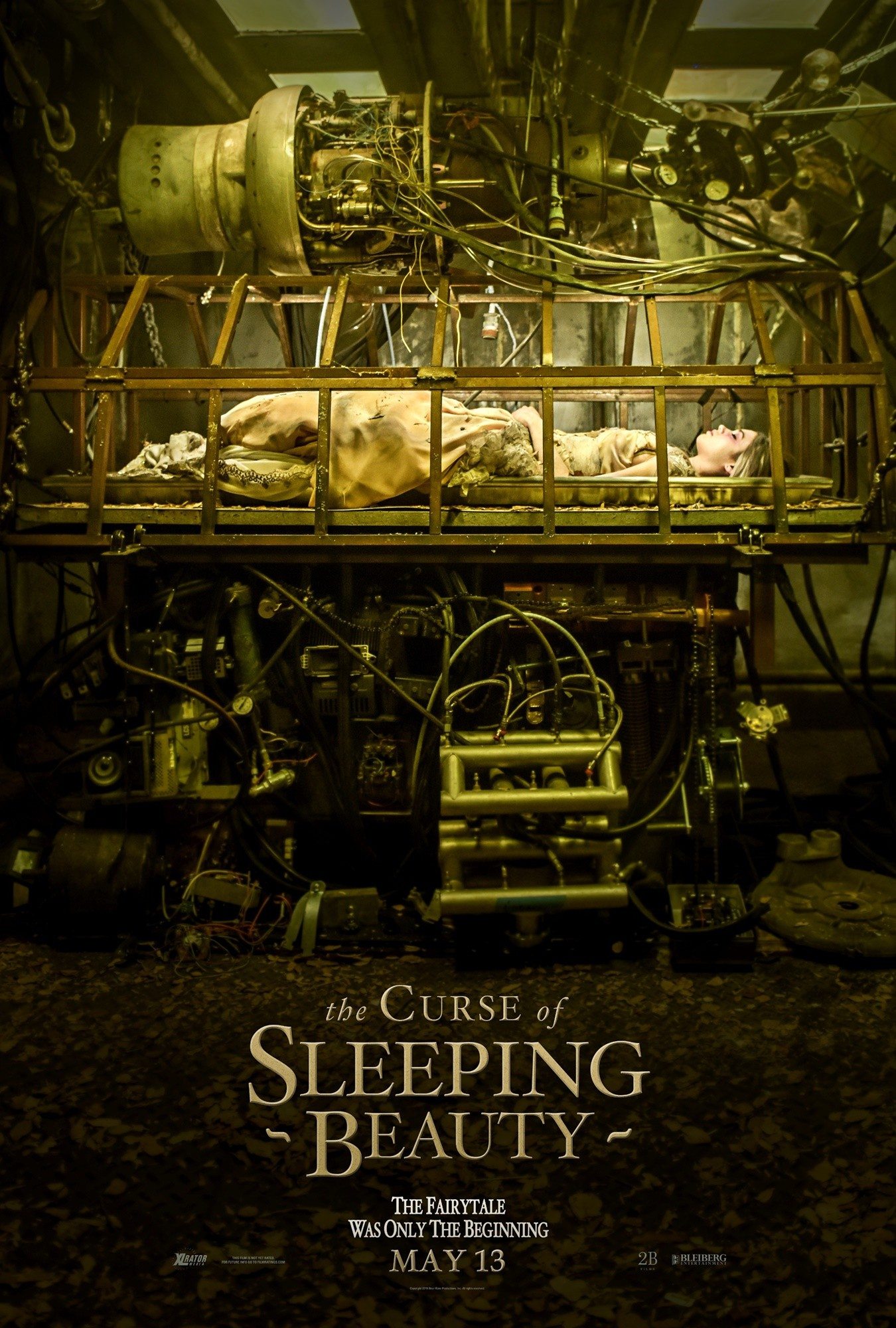 Poster of XLrator Media's The Curse of Sleeping Beauty (2016)