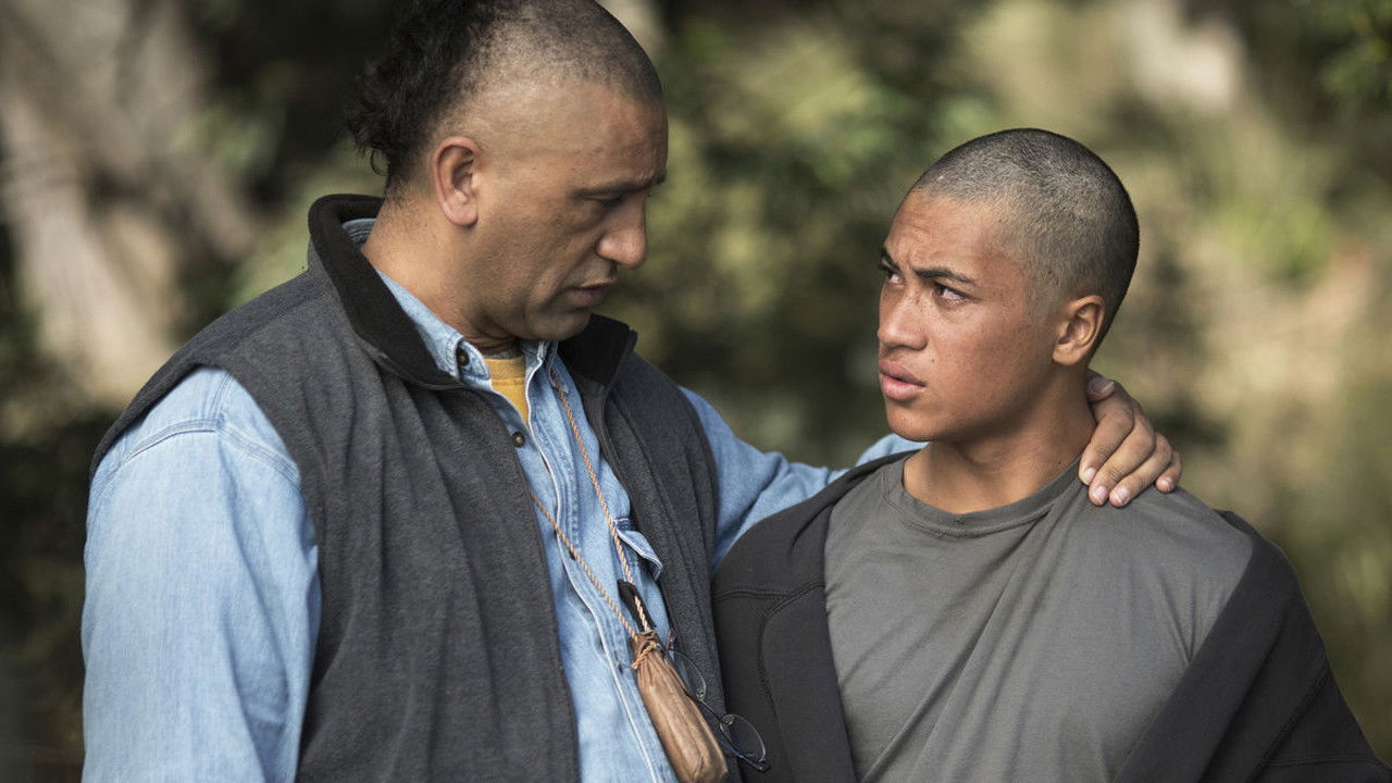 Dark Horse, The (2016)