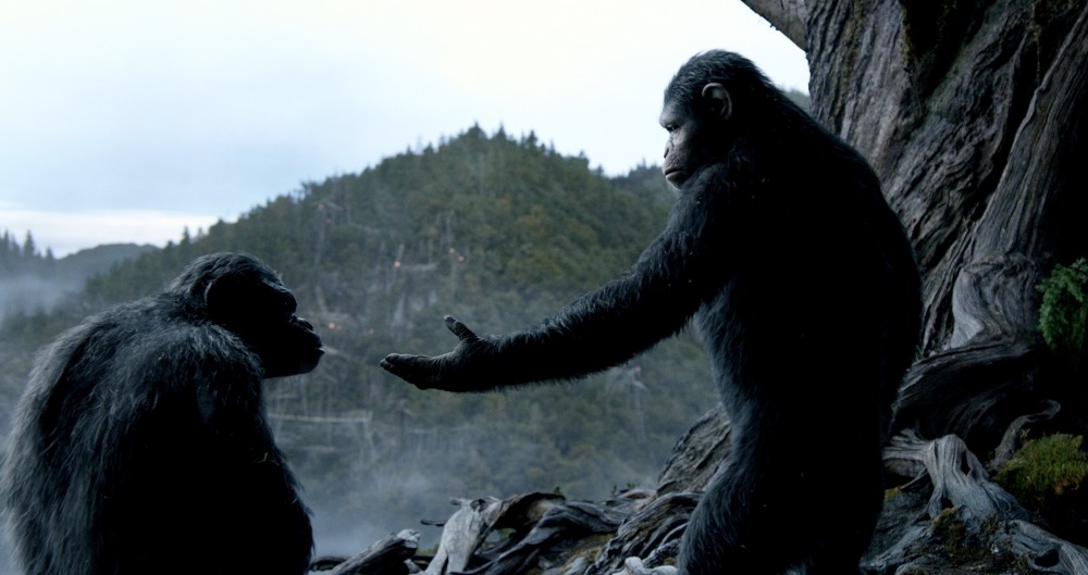 Caesar and Koba from 20th Century Fox' Dawn of the Planet of the Apes (2014)