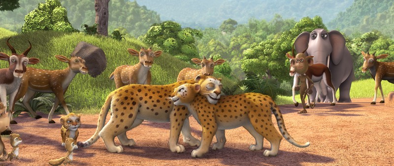 delhi safari photos