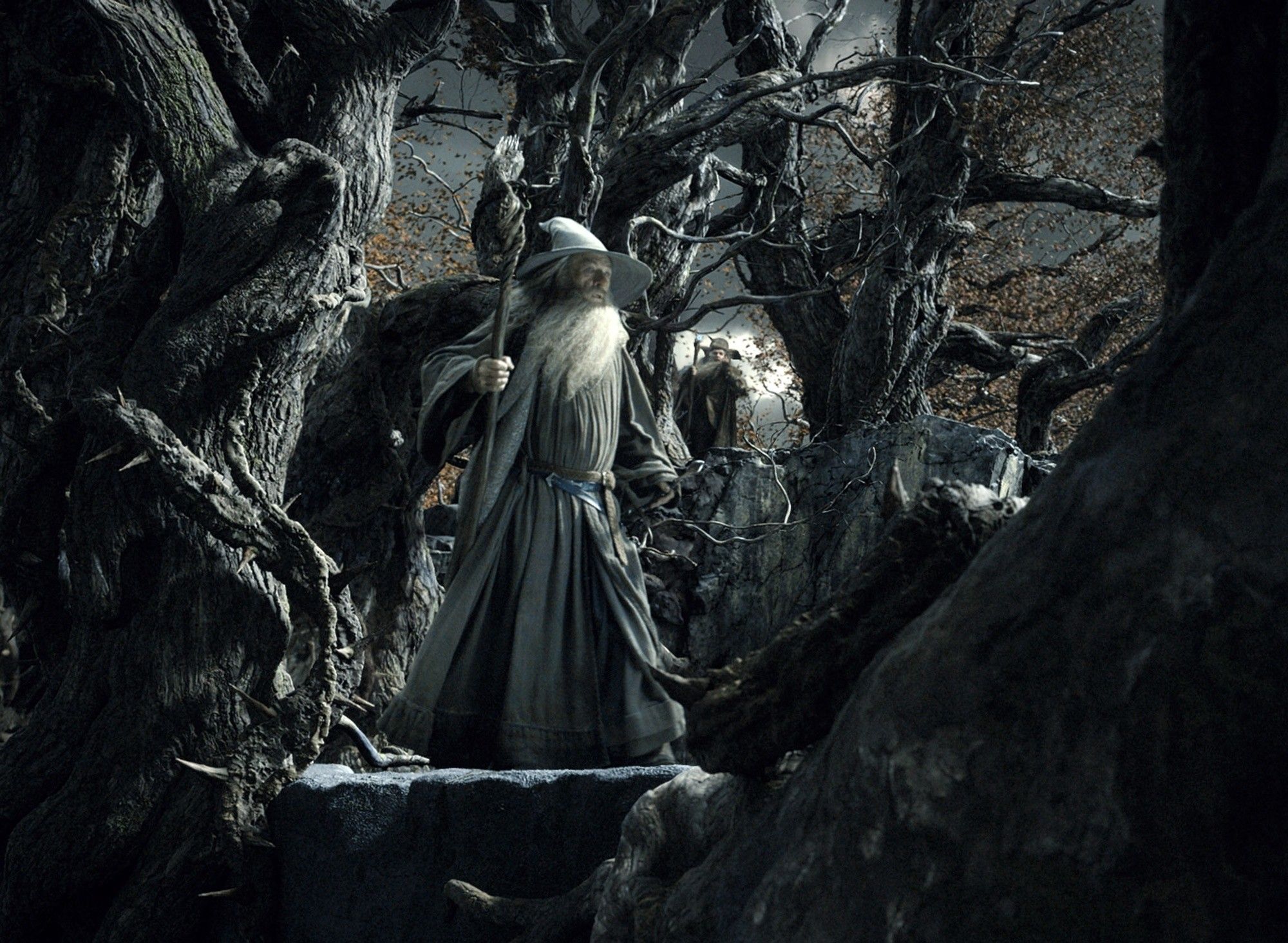 Ian McKellen stars as Gandalf in Warner Bros. Pictures' The Hobbit: The Desolation of Smaug (2013)