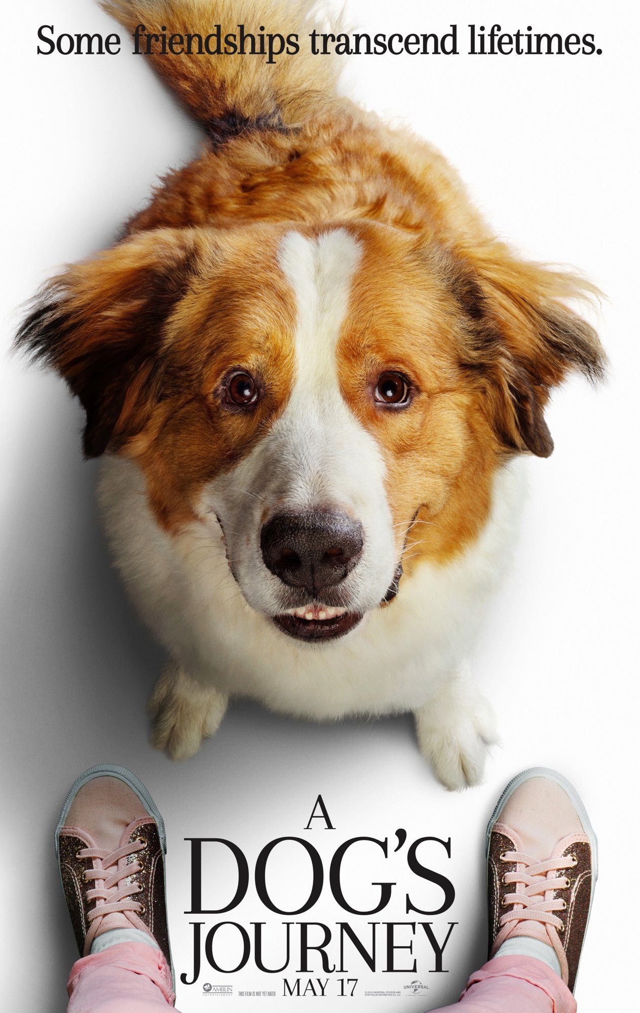 Poster of Universal Pictures' A Dog's Journey (2019)