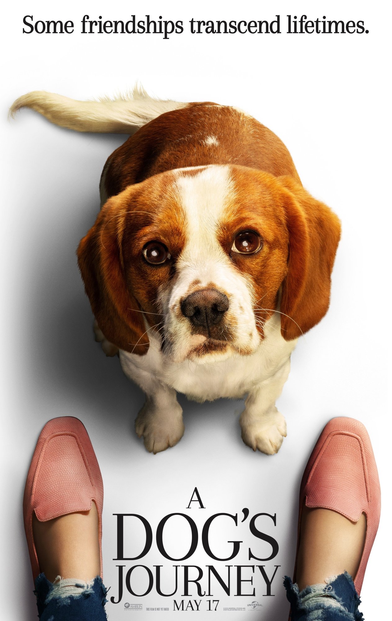 Poster of Universal Pictures' A Dog's Journey (2019)