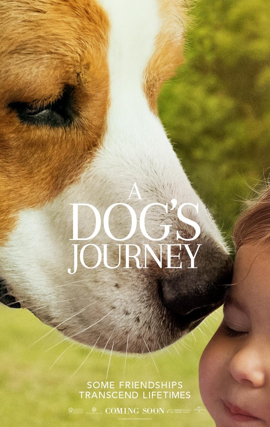 a dog's journey premiere