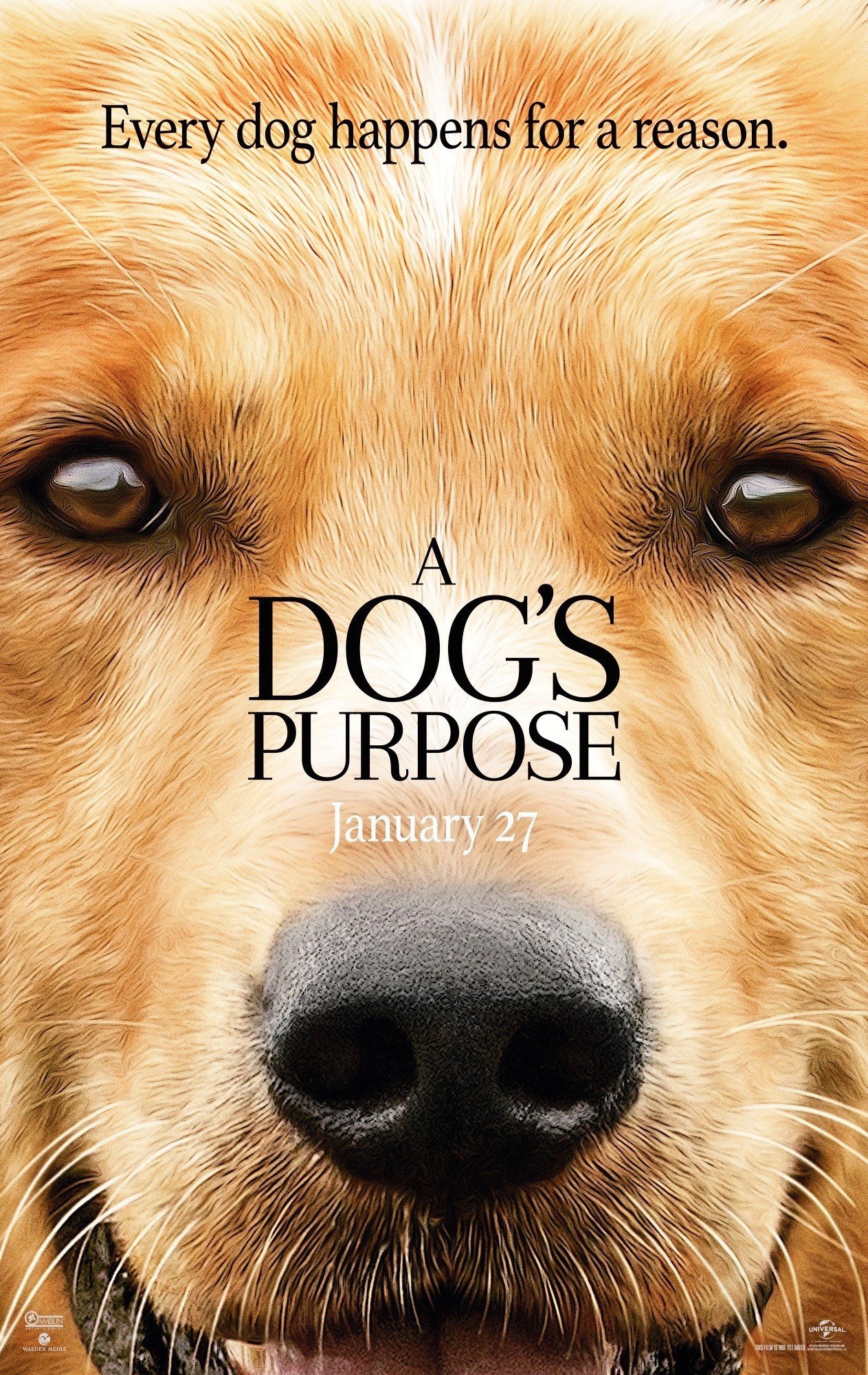 Poster of Universal Pictures' A Dog's Purpose (2017)